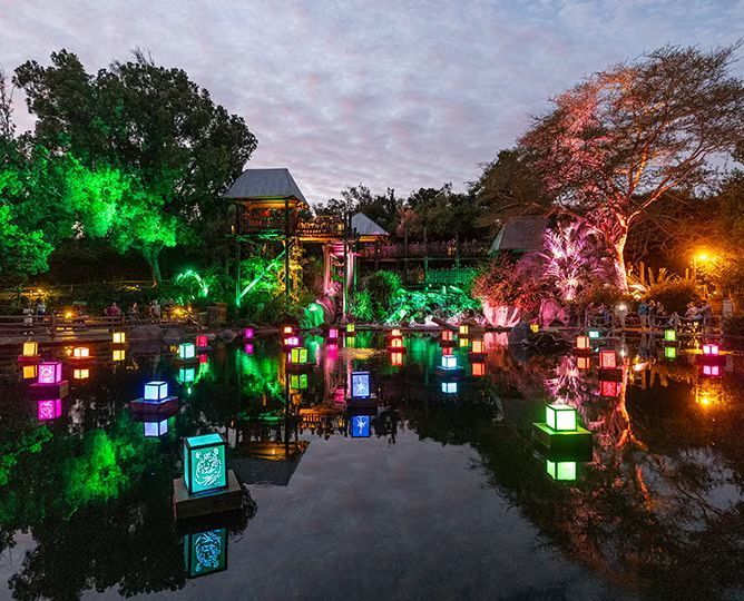 Nighttime lantern light display over a pond with floating colorful cubes and reflections, trees and wooden structures in the background.