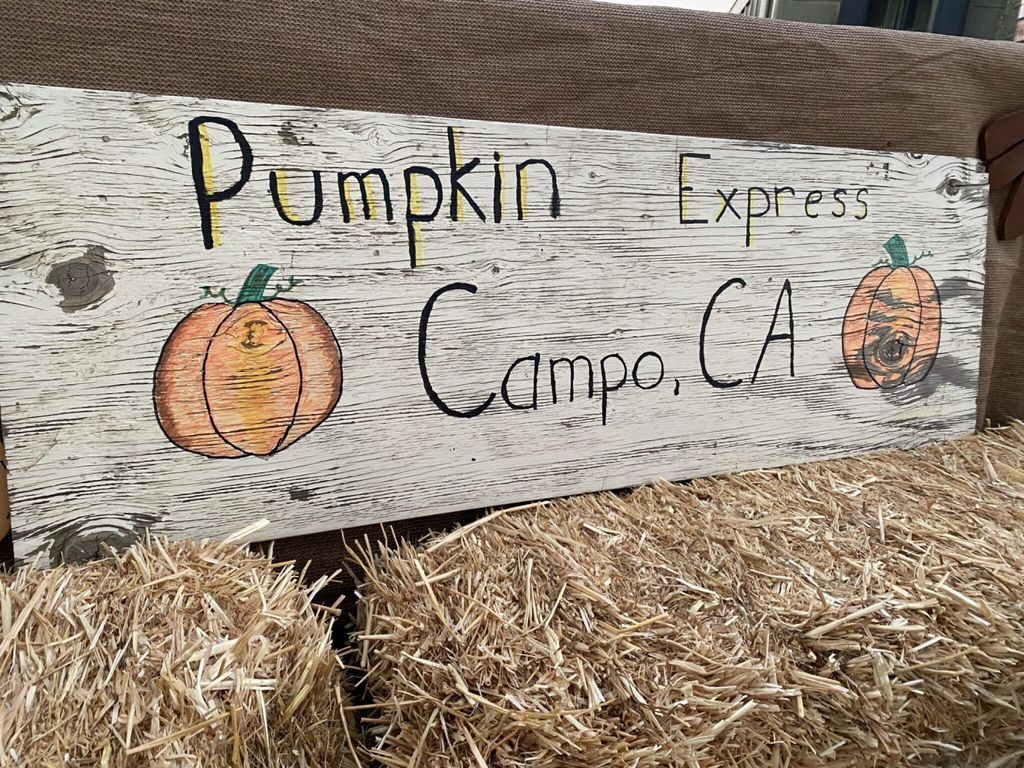 Wooden sign reading 'Pumpkin Express Campo, CA' with two orange pumpkins and hay bales in the foreground.